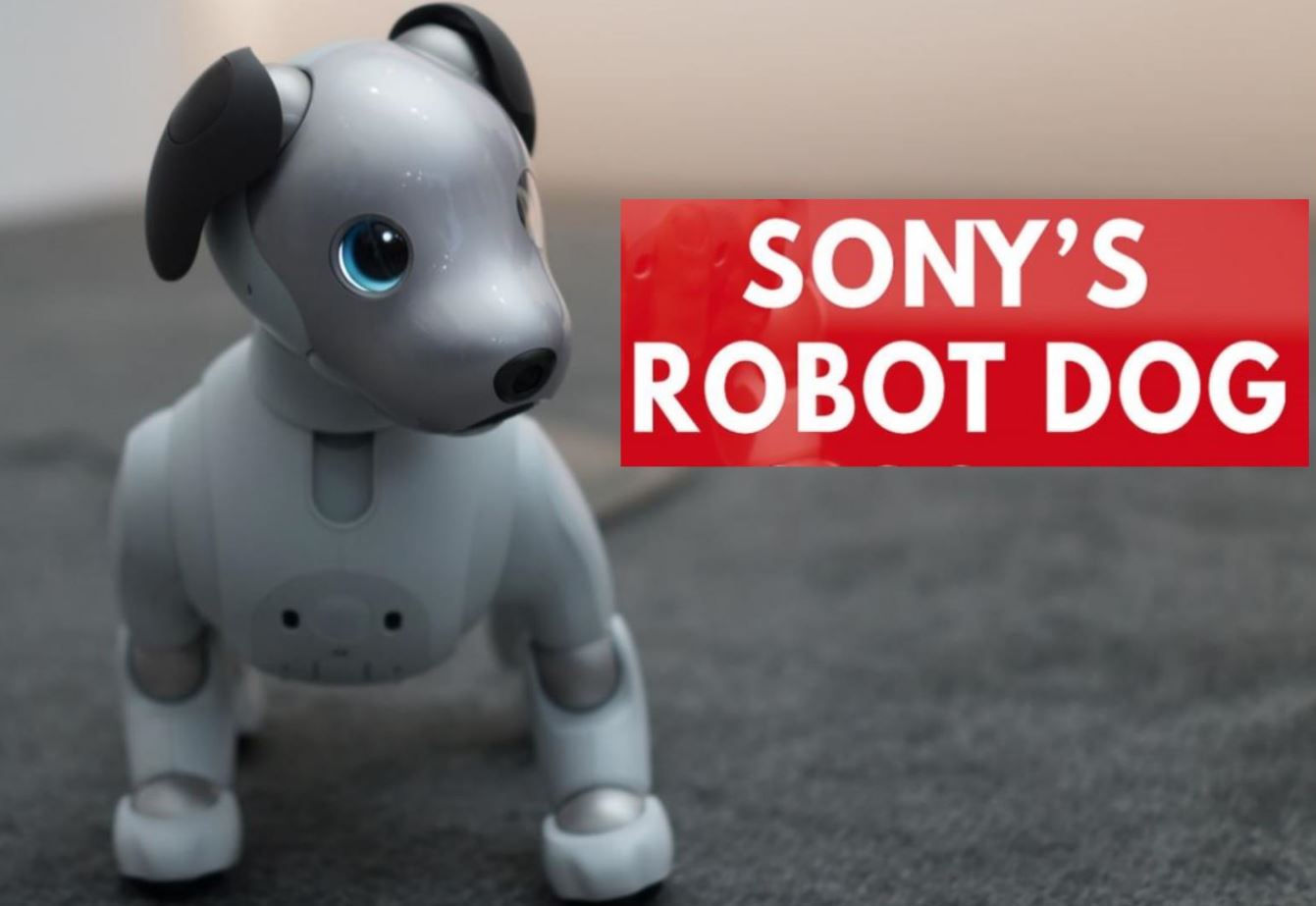 Best robot dog 2018 new arrivals